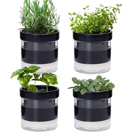 Phoenix Vine 10,2 cm selbstbewässernder Pflanztopf aus schwarzem Terrakotta-Ton, mit Glasspeicher für Zimmerpflanzen, Kräuter, Blumen, 4er-Set, 52-C-E-4 von Phoenix Vine