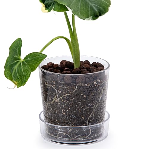 Phoenix Vine 11,4 cm klarer Acryl-Pflanztopf mit Tablett, Orchideentopf mit Drainagelöchern, tiefer Untersetzer für Bodenbewässerung, transparente Behälter für Zimmerpflanzen, Kräuter, 1 Stück, von Phoenix Vine