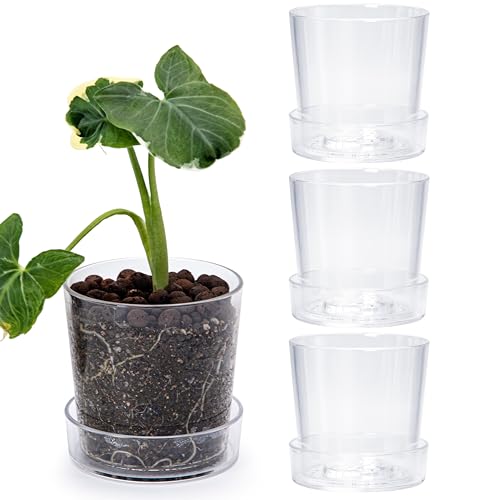 Phoenix Vine 4.5 Inch Clear Acrylic Planter Pot with Tray Orchid Pot with Drainage Holes, Deep Saucer for Bottom Watering, Transparent Containers for Indoor Plants Herbs, Set of 4, 91-A-E-4 von Phoenix Vine