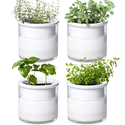 Phoenix Vine 51-B-E-4 Selbstbewässernder Pflanztopf Design Weiße Terrakotta-Töpfe für Pflanzen, Zylinder-Terrakotta-Töpfe mit Glasvase, 10,2 cm, 4 Stück von Phoenix Vine