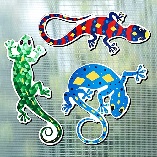 6 Stück Gecko Fliegengitter Reparatur Magnete Doppelseitig Gecko Magnetischer Schutz Dekorativer Magnetischer Aufkleber Fliegengitter Schoner Schiebetür Flexible Fliegengitter Magnete von Photect