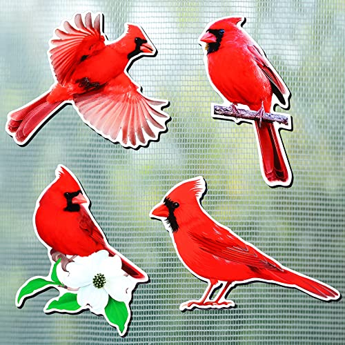 8 Stück Kardinal Vogel Fliegengittertür Magnete Flexible Dekorative Doppelseitig Fliegengittertür Magnete Rot Vogel Magnetisch Fliegengitterschoner für Schiebetür Einziehbar Fenster, 4 Stile von Photect