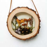 Gerahmte Pilze in Resin Kunst Pilz Deko Morel Echter Wanddeko Natur Wandbehang von PhotoGiftsCrafts