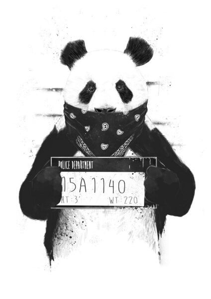 Photocircle Poster / Leinwandbild - Bad panda von Photocircle