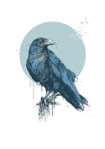 Photocircle Poster / Leinwandbild - Blue crow von Photocircle