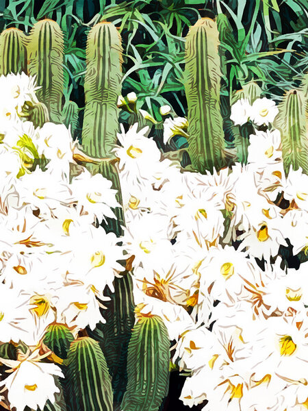 Photocircle Poster / Leinwandbild - Cactus & Bloom von Photocircle