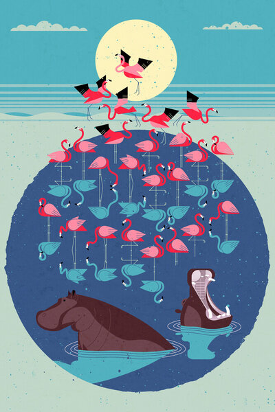 Photocircle Poster / Leinwandbild - Flamingo See von Photocircle