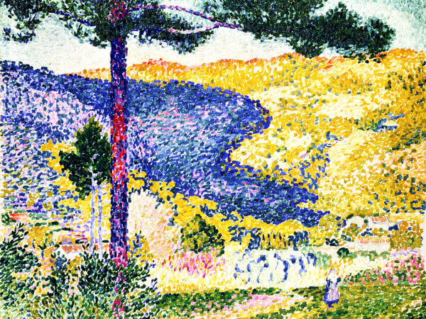 Photocircle Poster / Leinwandbild - Henri-Edmond Cross: Tal mit Tanne von Photocircle