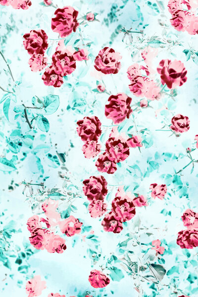 Photocircle Poster / Leinwandbild - Nothing Happens Unless First A Dream Photocircle Poster / Leinwandbild - Nothing Happens Unless First A Dream von Photocircle