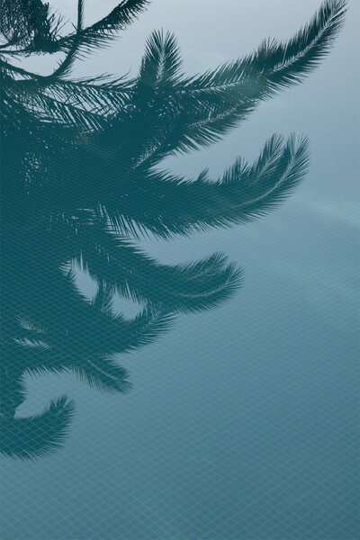 Photocircle Poster / Leinwandbild - Palms in the Pool von Photocircle