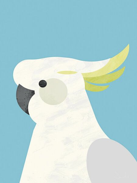 Photocircle Poster / Leinwandbild - Parrot Photocircle Poster / Leinwandbild - Parrot von Photocircle
