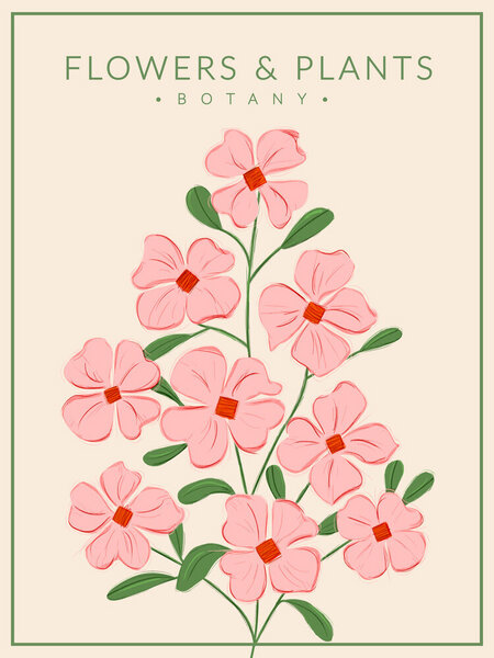 Photocircle Poster / Leinwandbild - Soft Pink Flowers - Botany no4 von Photocircle