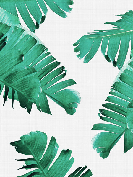 Photocircle Poster / Leinwandbild - Tropical Leaves von Photocircle