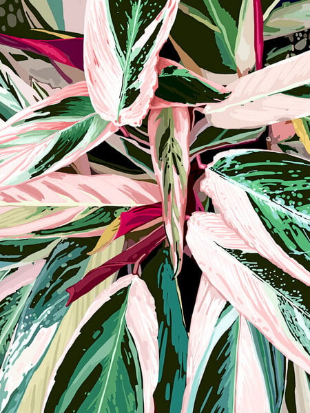 Photocircle Poster / Leinwandbild - Tropical Variegated Houseplant von Photocircle