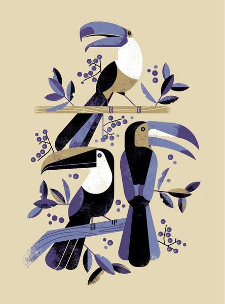 Photocircle Poster / Leinwandbild - Tukan Photocircle Poster / Leinwandbild - Tukan von Photocircle