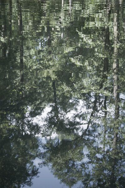 Photocircle Poster / Leinwandbild - Upsidedown Photocircle Poster / Leinwandbild - Upsidedown von Photocircle