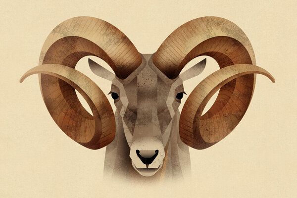 Photocircle Poster / Leinwandbild - Urial Photocircle Poster / Leinwandbild - Urial von Photocircle