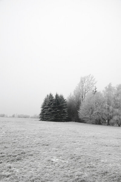 Photocircle Poster / Leinwandbild - Winter Wonderland von Photocircle