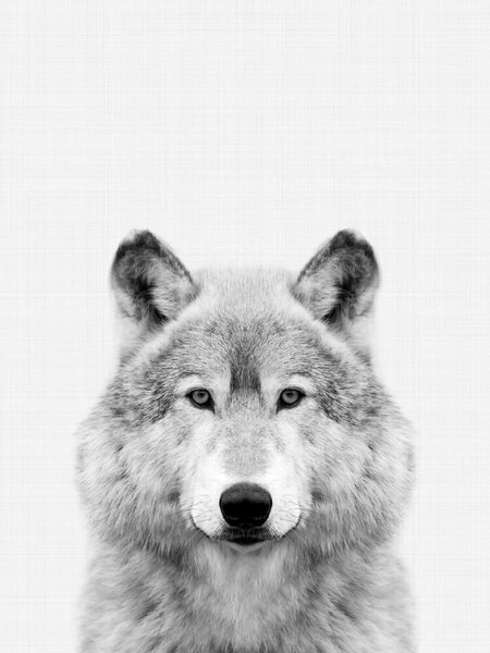 Photocircle Poster / Leinwandbild - Wolf (Black and White) von Photocircle