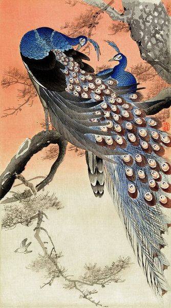 Photocircle Poster / Leinwandbild - Zwei Pfauen in einem Baum von Ohara Koson Photocircle Poster / Leinwandbild - Zwei Pfauen in einem Baum von Ohara Koson von Photocircle