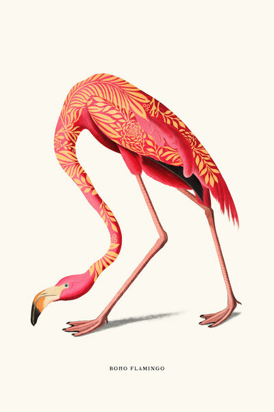 Photocircle Wandbild / Kunstdruck / Poster / Leinwand - Boho Flamingo von Photocircle