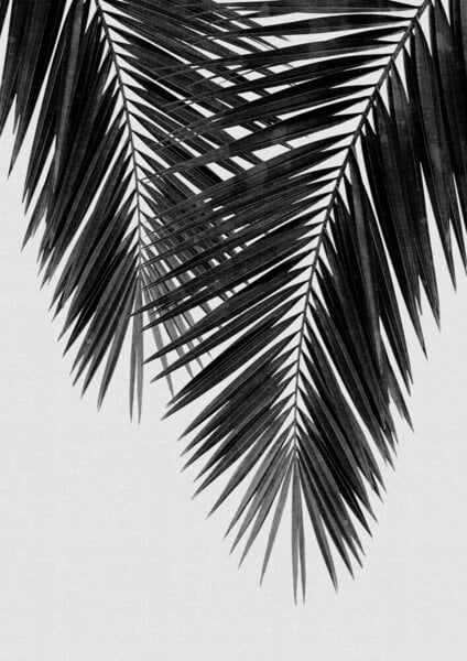 Photocircle Wandbild / Kunstdruck / Poster / Leinwand - Palm Leaf Black & White II von Photocircle