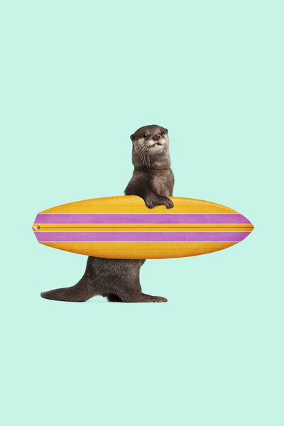 Photocircle Wandbild / Kunstdruck / Poster / Leinwand - Surfing Otter von Photocircle