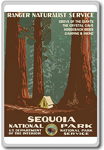 1938, Sequoia National Park, USA - Vintage Travel Fridge Magnet - Kühlschrankmagnet von Photosiotas