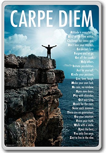 Carpe Diem - motivational inspirational quotes fridge magnet - Kühlschrankmagnet von Photosiotas