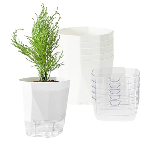 Piashow 6er-Set Selbstbewässernde Blumentöpfe (12,5 cm) mit Wasserreservoir – Pflanztöpfe mit Drainagelöchern & transparenter Wasserstandsanzeige – Ideal für Zimmerpflanzen, Kräuter, Balkon & Garten von Piashow