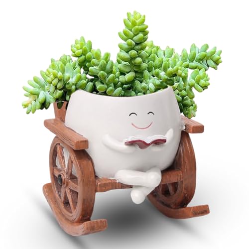 Piashow Blumentöpfe mit Schaukel Gesicht, Übertopf mit Gesicht, Schaukelstuhl Blumentopf lustig, Blumentopf Sukkulenten für Außen Innen für Home Gartendeko（Lesen） von Piashow