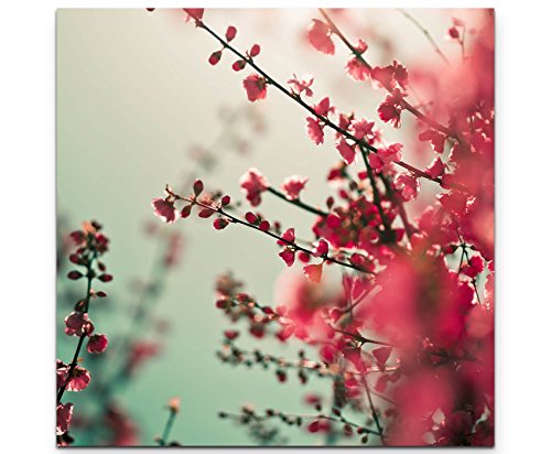 Picarto Leinwandbild quadratisch 90x90cm Fotografie – rote asiatische Kirschblütenzweige von Picarto