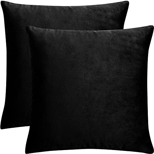 PiccoCasa Kissenbezüge 2er Set Samt Deko Kissenbezug 40x40cm Kissenhülle mit Verstecktem Reißverschluss für Sofakissen Couchkissen Schlafzimmer, Schwarz von PiccoCasa