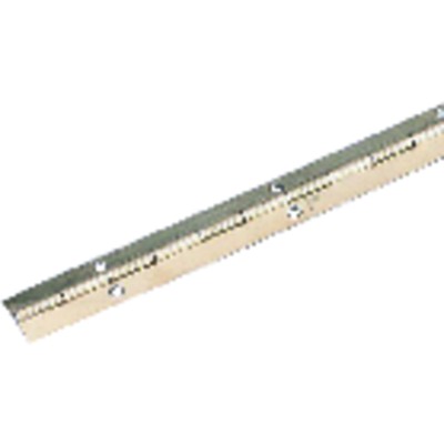 Möbel-Stangenscharnier,B 32mm,L 35000mm, Stahl messingfarben vermessingt von Pickhardt & Gerlach