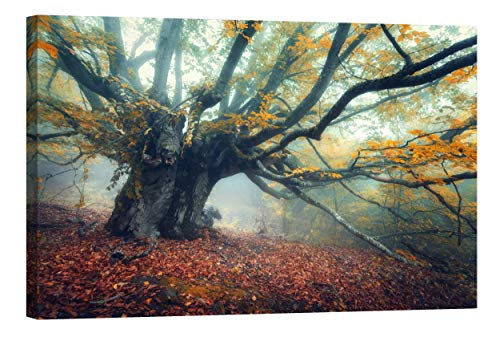 Picma nachtleuchtend Wandbild XXL Wanddeko Leinwandbild altes Baum Ahorn im Herbst, Kunstdruck fluoreszierendes Wald Bild von Picma
