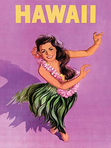 Piddix Hawaii 30 x 40cm Canvas Print Leinwanddruck, Mehrfarbig, 30 x 40 cm von Piddix