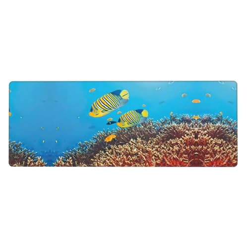 Royal Angel Fishes Premium-Gaming-Mauspad, auslaufsicher, schmutzabweisend, Stoff, 800 x 300 x 3 mm lang, Schreibtischunterlage Royal Angel Fishes Premium-Gaming-Mauspad, auslaufsicher, schmutzabweisend, Stoff, 800 x 300 x 3 mm lang, Schreibtischunterlage von Pidgazdfgv