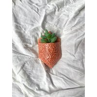 Wand Pocket Planter von PieBirdPotteryCo