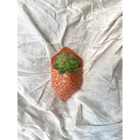 Wand Pocket Planter von PieBirdPotteryCo