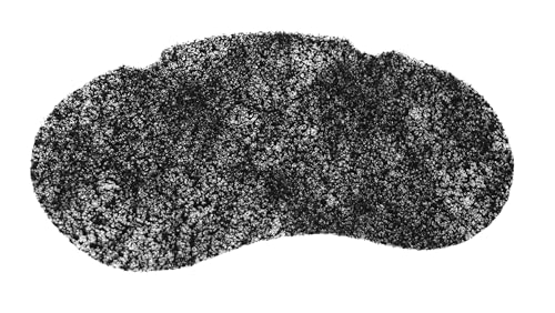 Filter kompatibel mit/Ersatzteil für Tefal SS-991033 FF1025 FF1026 FF1027 FF1028 FF1029 FF1030 FF1031FF1032 FF1034 FF1035 Fritteuse von Piebert