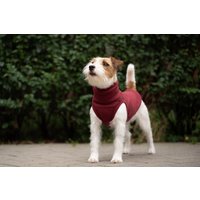 90% Baumwolle - Sweatshirt Für Kleine Hunde, Bequem Und Warm Viele Größen Maroon von PieskiwKreski