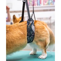 Hundepflege-Bauchband, Pflegehilfe Für Hunde, Hundefrisur, Haustierpflege, Hundepflegebedarf, Hundepflegezubehör, Bauchgurt von PieskiwKreski