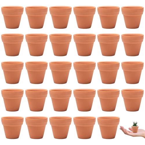 Pilikoll 30 Stück 3.5x3 cm Mini Blumentopf Terrakotta mit Abflussloch Kleine Terrakotta Töpfe Wiederwendbar terrakotta Blumentoepfe Terrakottas Sukkulenten Töpfe für Innen Außenbereiche Pflanzen von Pilikoll