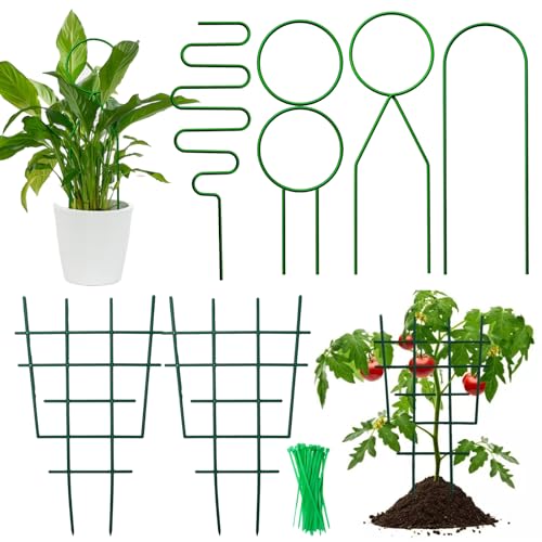 Pilikoll 4 Stück Garten Pflanzenstütze Rankgitter aus Metall mit 2 Kunststoff Garten Pflanzenstütze, 50 Reißverschlüsse Rankhilfe für Zimmerpflanzen Pflanzenunterstützung für Efeureben, Rosenzubehör von Pilikoll