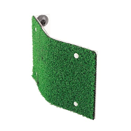 Pilipane Kleine Schildkröte -Backen -Plattform Simulation Grasschildkröte Leiter Ruhestand mit Saugnapfbecher für kleine Reptilienfrosch Amphibien -Haustiere Acrylmaterial (L) von Pilipane