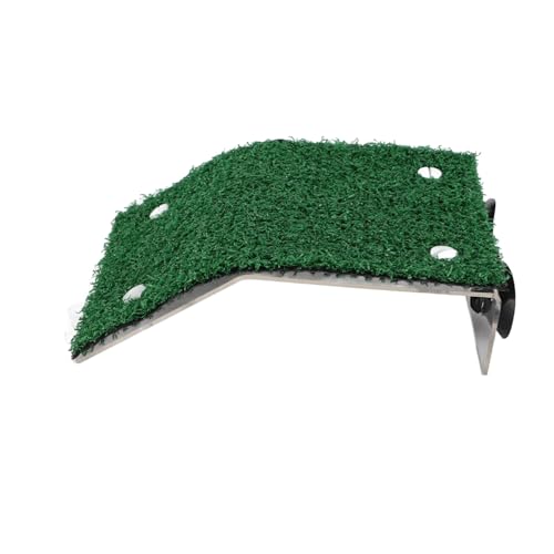 Pilipane Kleine Schildkröte -Backen -Plattform Simulation Grasschildkröte Leiter Ruhestand mit Saugnapfbecher für kleine Reptilienfrosch Amphibien -Haustiere Acrylmaterial (M) von Pilipane