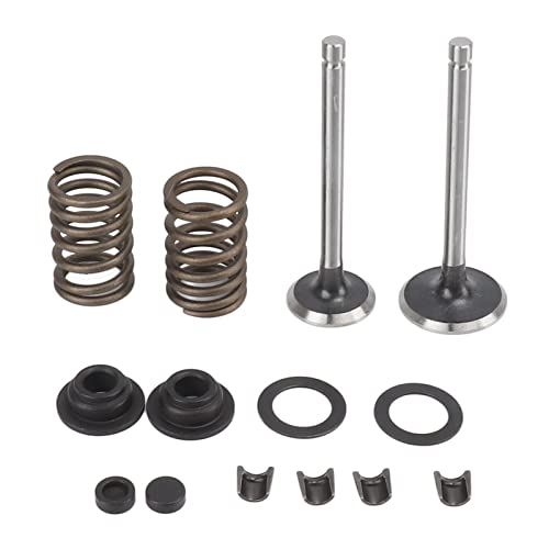 Pilipane Mikrotillerventilteilegenerator Ventilstamm Kit Iron Wear Resistant Anti Corrosion Feder Waschmaschine Verriegelungsclip -Set für luftgekühlte Generator 186F -Modell von Pilipane