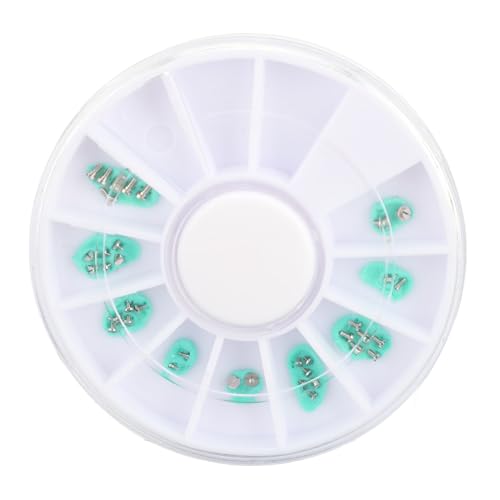 Uhr Reparaturschrauben und Muttern Set 37pcs Edelstahl 3135 Bewegung Klemmschrauben 3131 Bewegungsschrauben Große Stahlradschrauben Kalender Schrauben professionelles Uhrmacher von Pilipane
