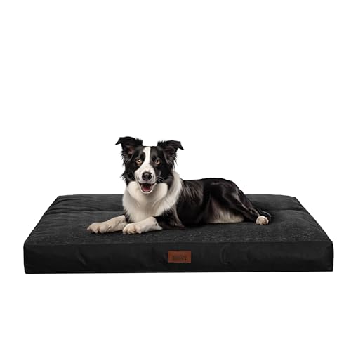 Hundekissen flauschig Hundematte - Waschbar Hundekissen flauschig - Haustierbett Hundematratze – für mittelgroße Hunde - M 70x50 cm - Hundebett, Hundekissen, Haustierbett - Schwarz Kunstleinen Hundekissen flauschig Hundematte - Waschbar Hundekissen flauschig - Haustierbett Hundematratze – für mittelgroße Hunde - M 70x50 cm - Hundebett, Hundekissen, Haustierbett - Schwarz Kunstleinen von PillowPrim