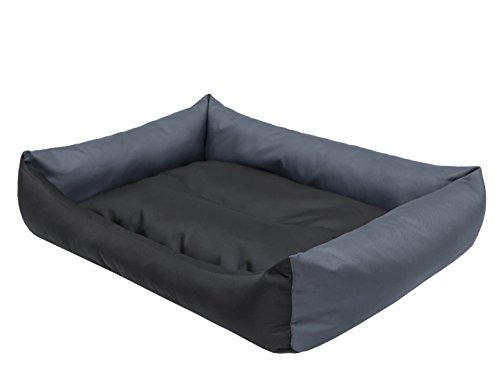 PillowPrim Hundebett Hundesofa Liegen Hundekissen Sofa Hundekorb Bett Hundecouch Tierbett Weich Haustierbett Hundeliegen Kissen L - 62 x 43 cm Schwarz/Graphit PillowPrim Hundebett Hundesofa Liegen Hundekissen Sofa Hundekorb Bett Hundecouch Tierbett Weich Haustierbett Hundeliegen Kissen L - 62 x 43 cm Schwarz/Graphit von PillowPrim